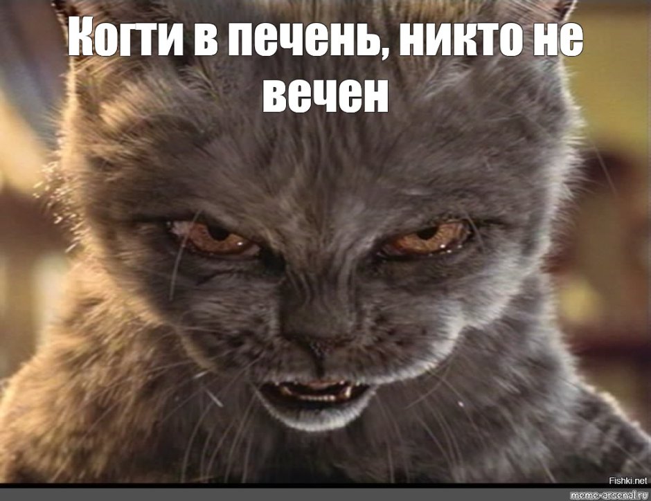 Кошка зло
