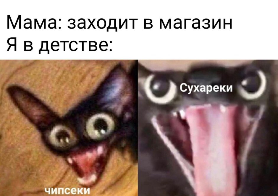Чёрный кот арт