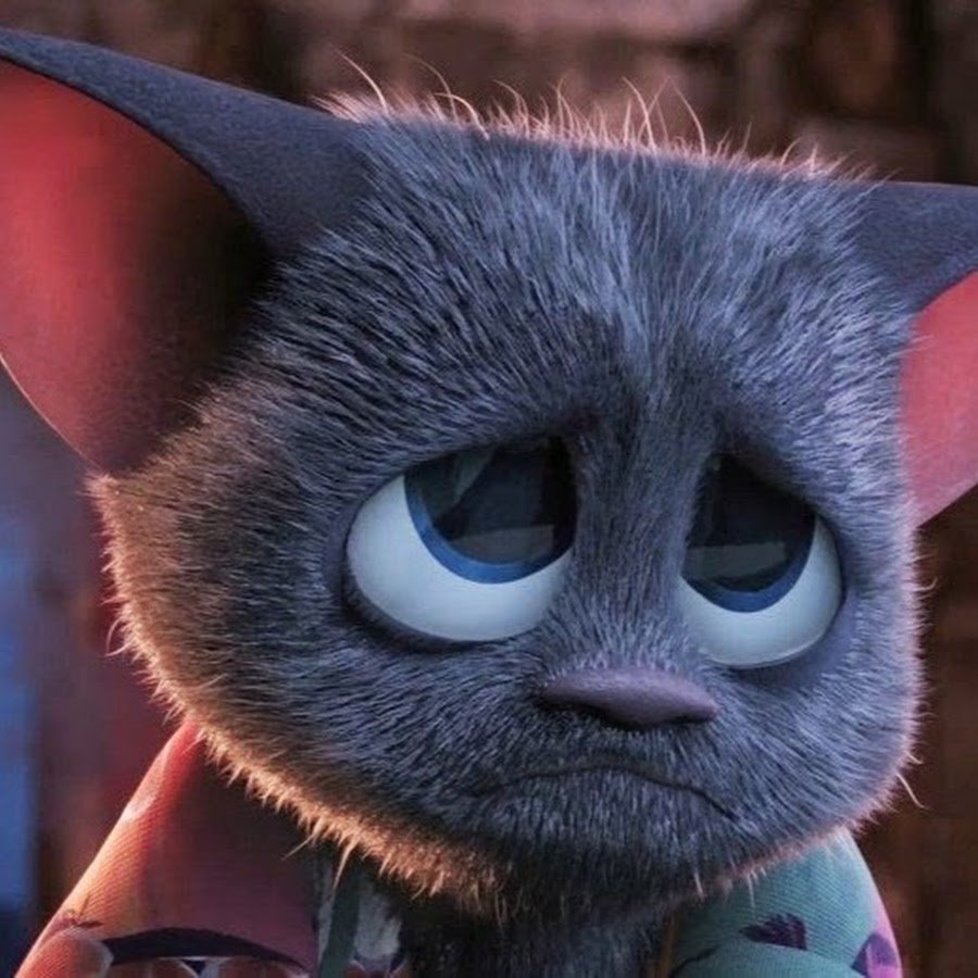 Котенок с большими глазами