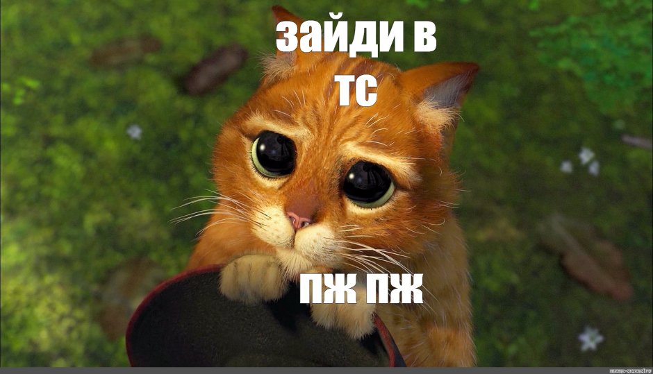 Котенок держи конфетку