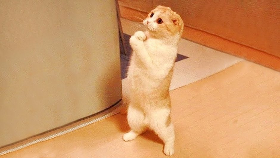 Прости меня