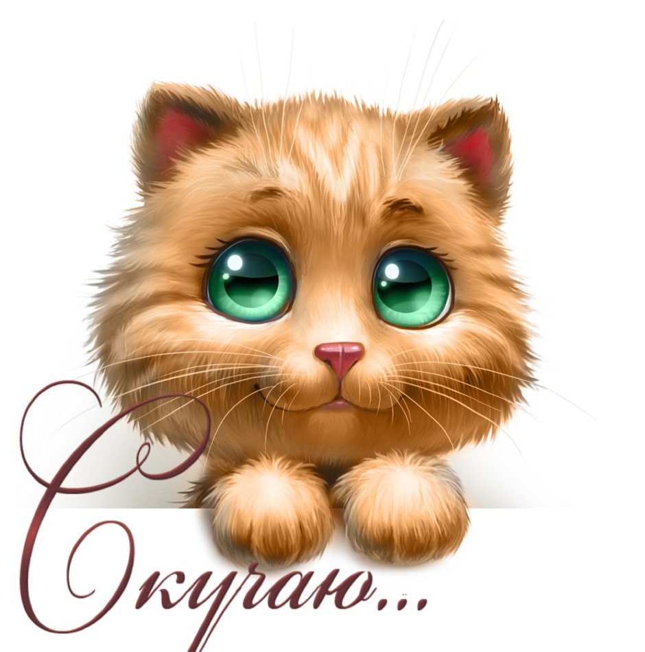 Кот в сапогах Шрек глаза