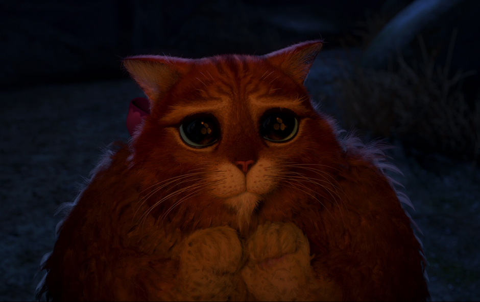 Грустная кошка