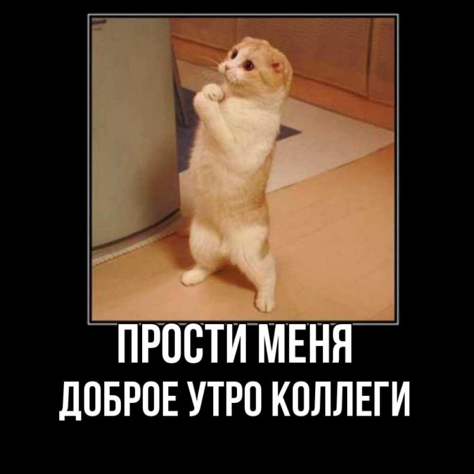 Прости если обидела