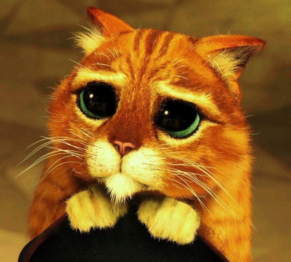 Жалостливые глаза кота из Шрека