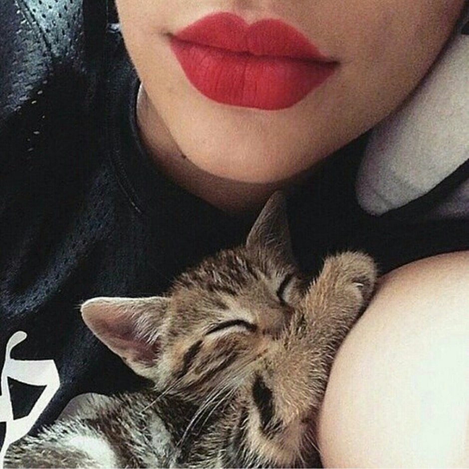 Девушка с котом на аву