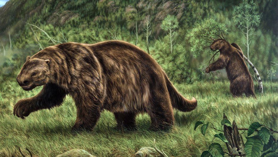 Гигантский Ленивец МЕГАТЕРИЙ