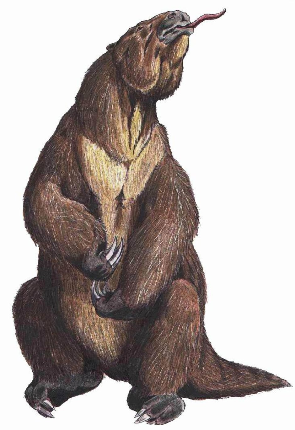 МЕГАТЕРИЙ И мамонт