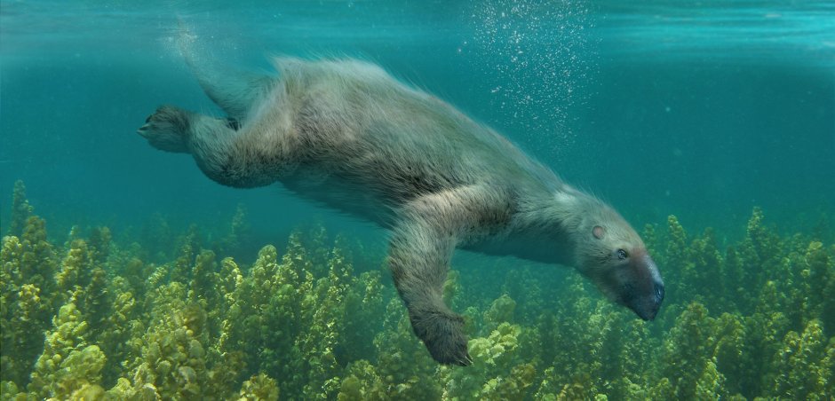 Гигантский Ленивец (Megatherium americanum)
