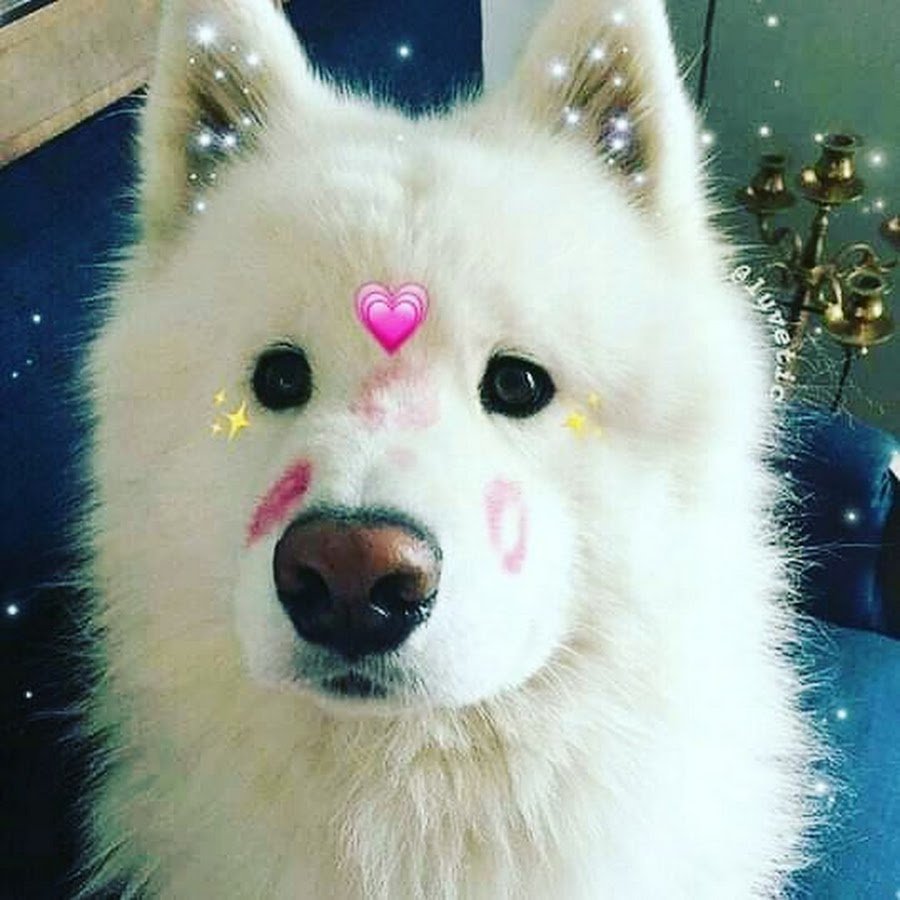 Остров Шпицберген поселок Баренцбург