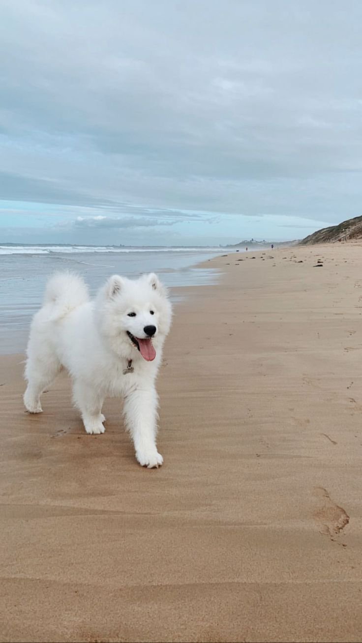 Пос Баренцбург арх Шпицберген Норвегия