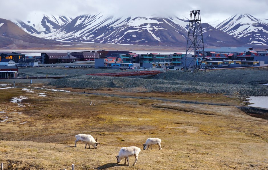 Шпицберген Лонгйир транспорт