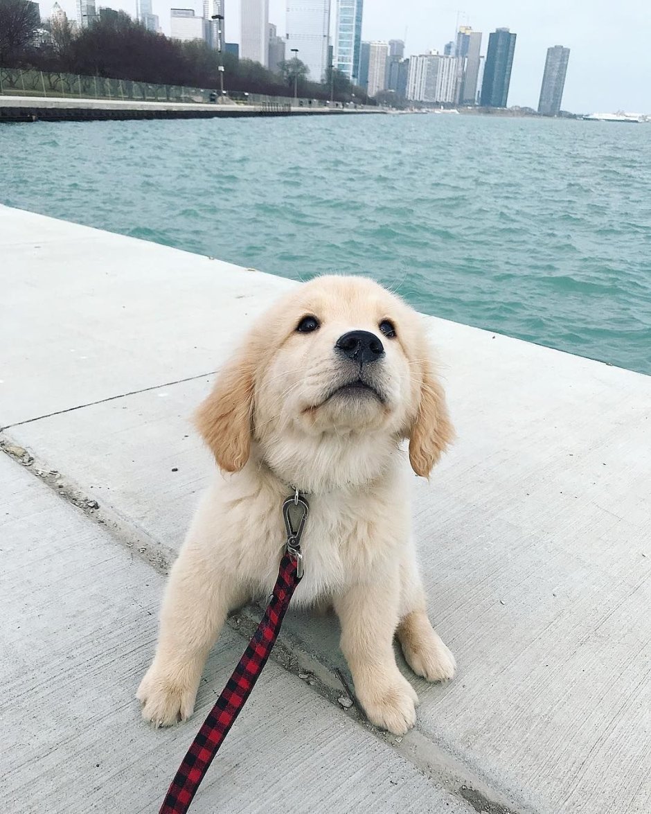 Норвегия Лонгиер