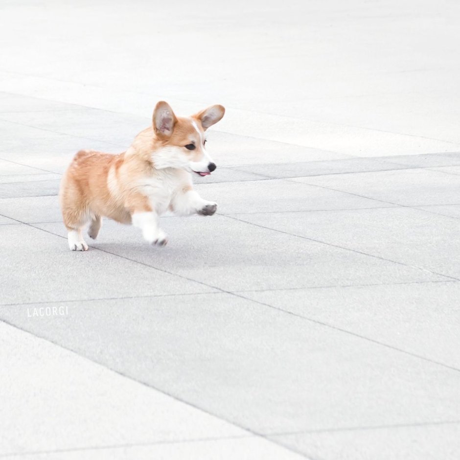 Норвегия остров Шпицберген на карте