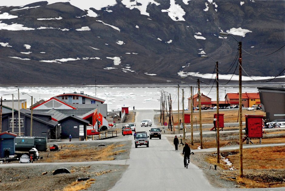 Собачка дворняжка