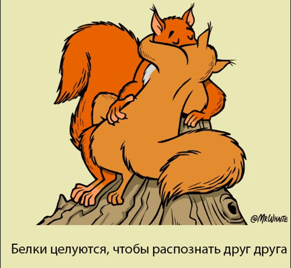 Прикольные анимации