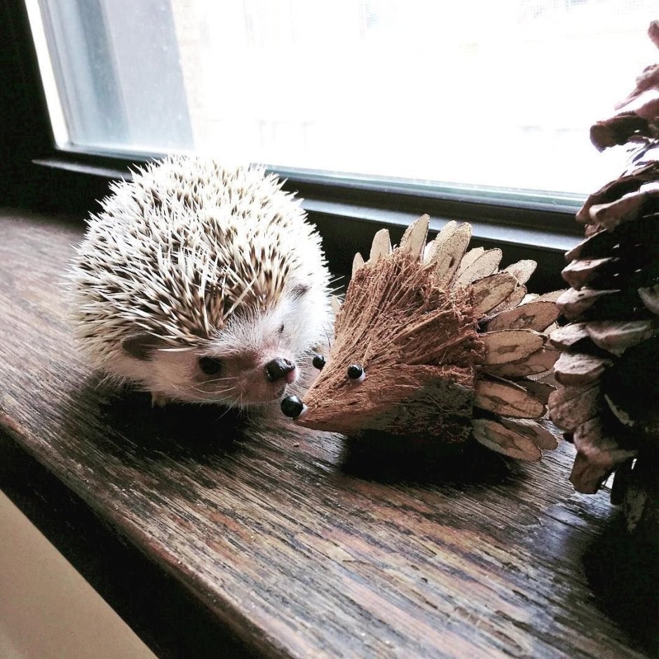 Сказочные Лесные животные