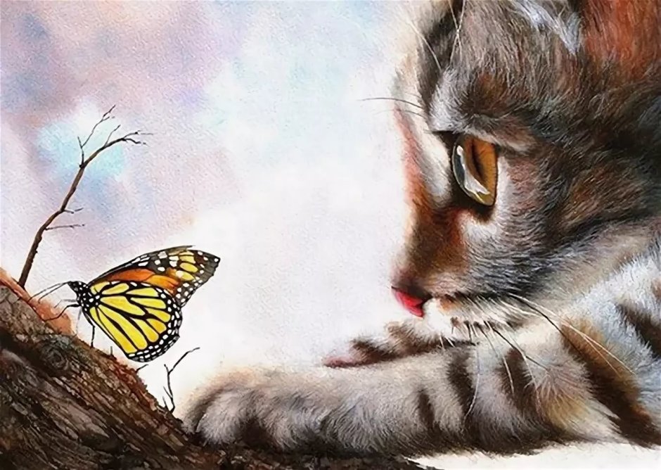 Картина кот и бабочка