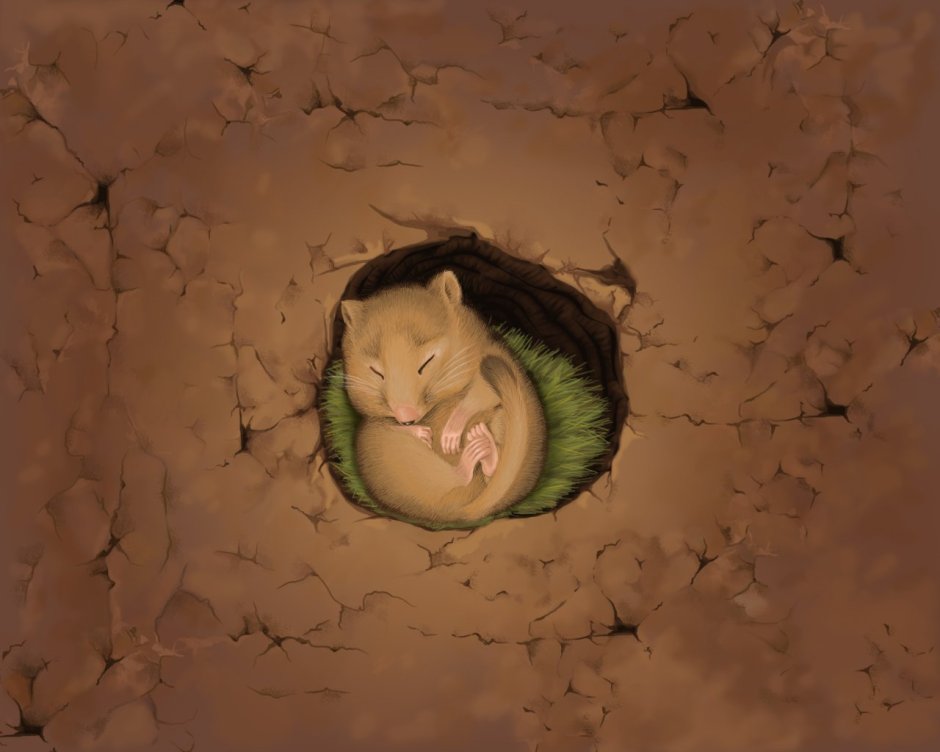 Хомяк спит в норке