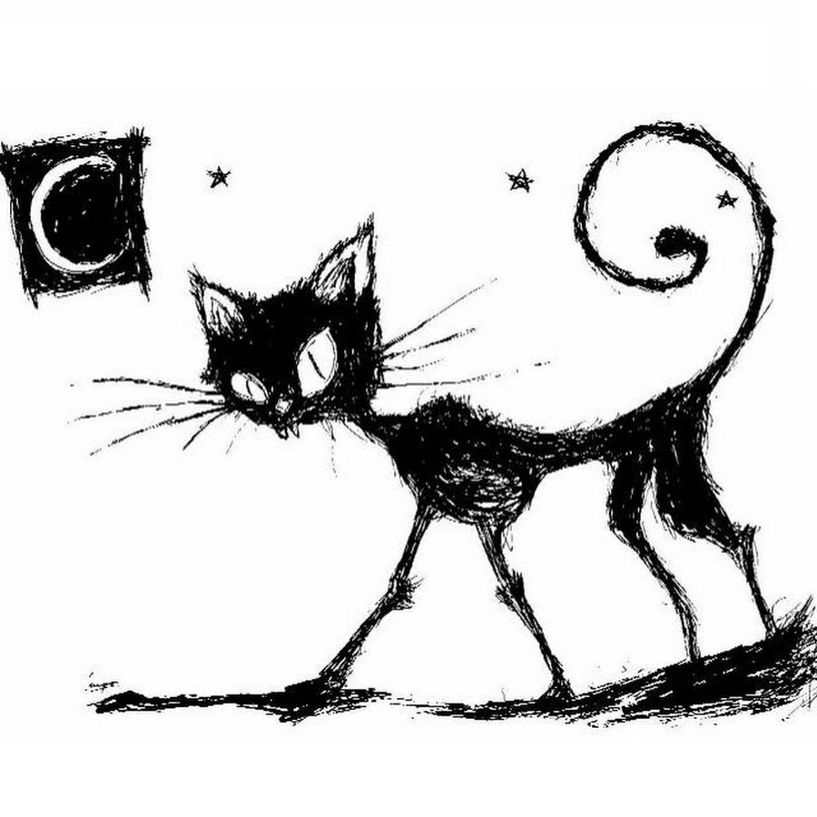 Породистые кошки и их названия