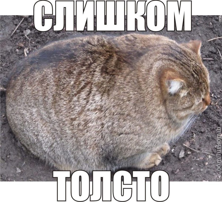 Шутки про уши