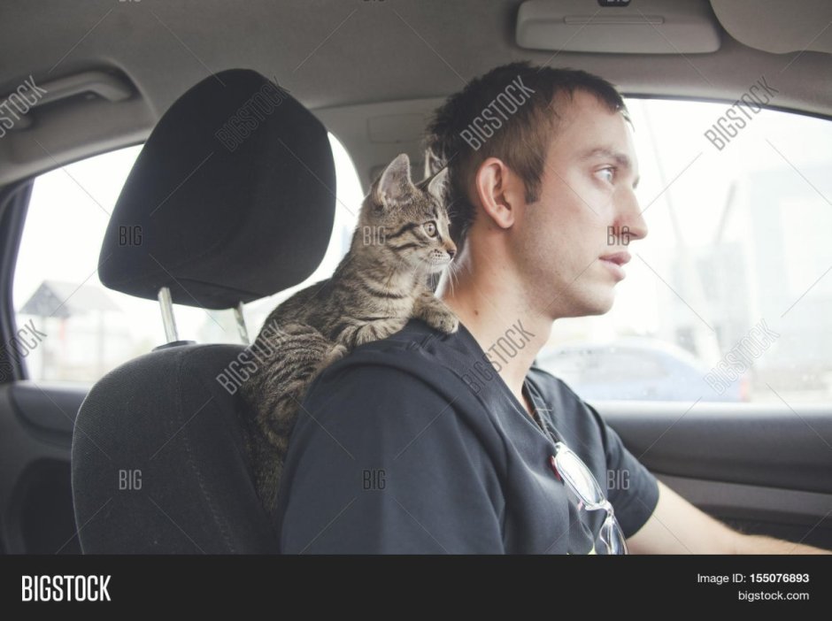 Парень с котом на плече