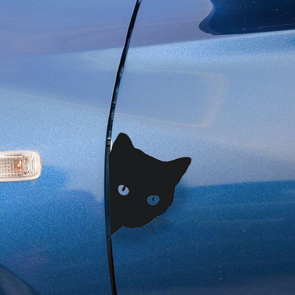 Котенок в машине