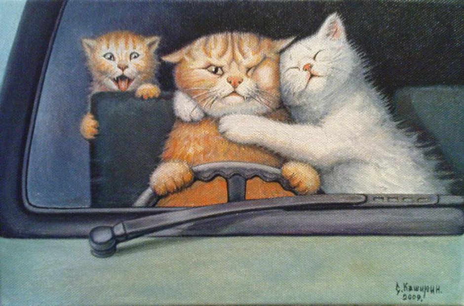 Кот едет
