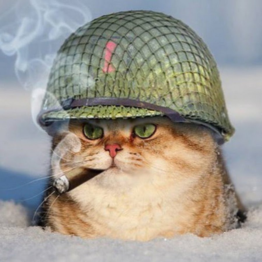 Готовко Борис Борисович