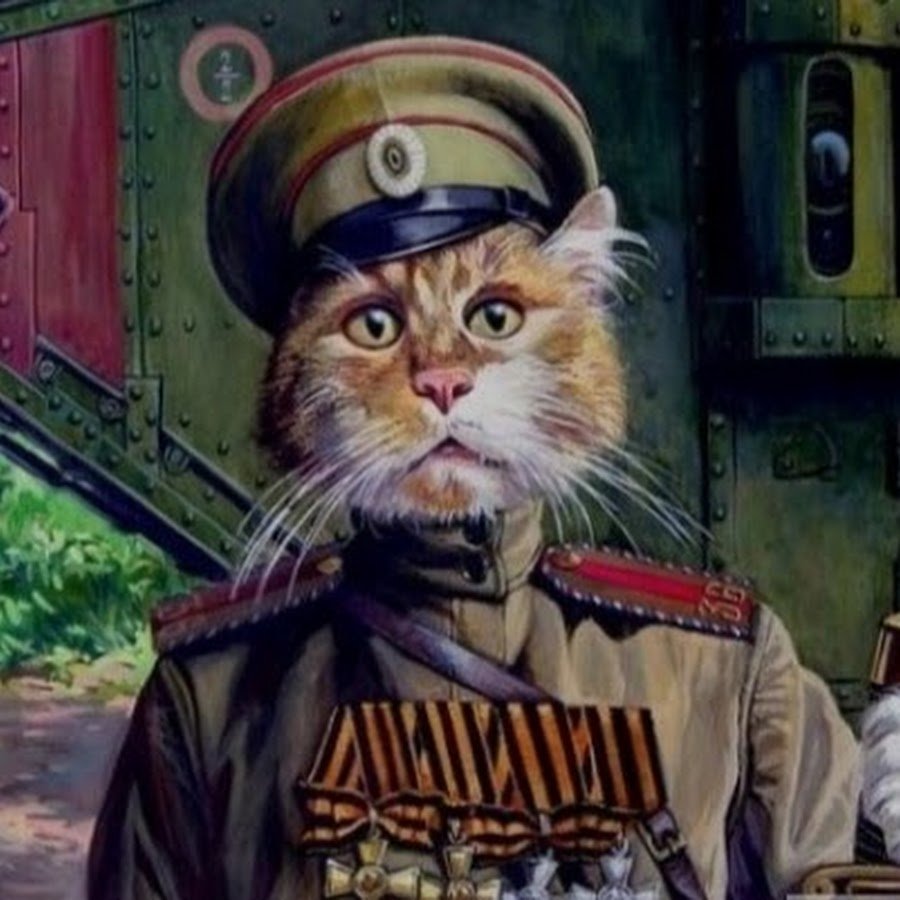 Патриотический котик