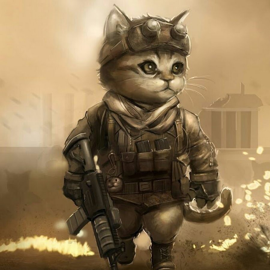 Кот воин
