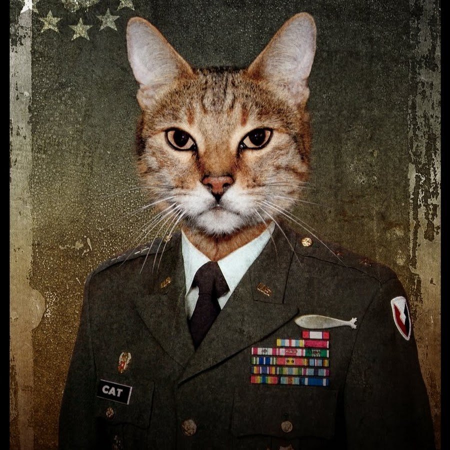 Генерал Рысик