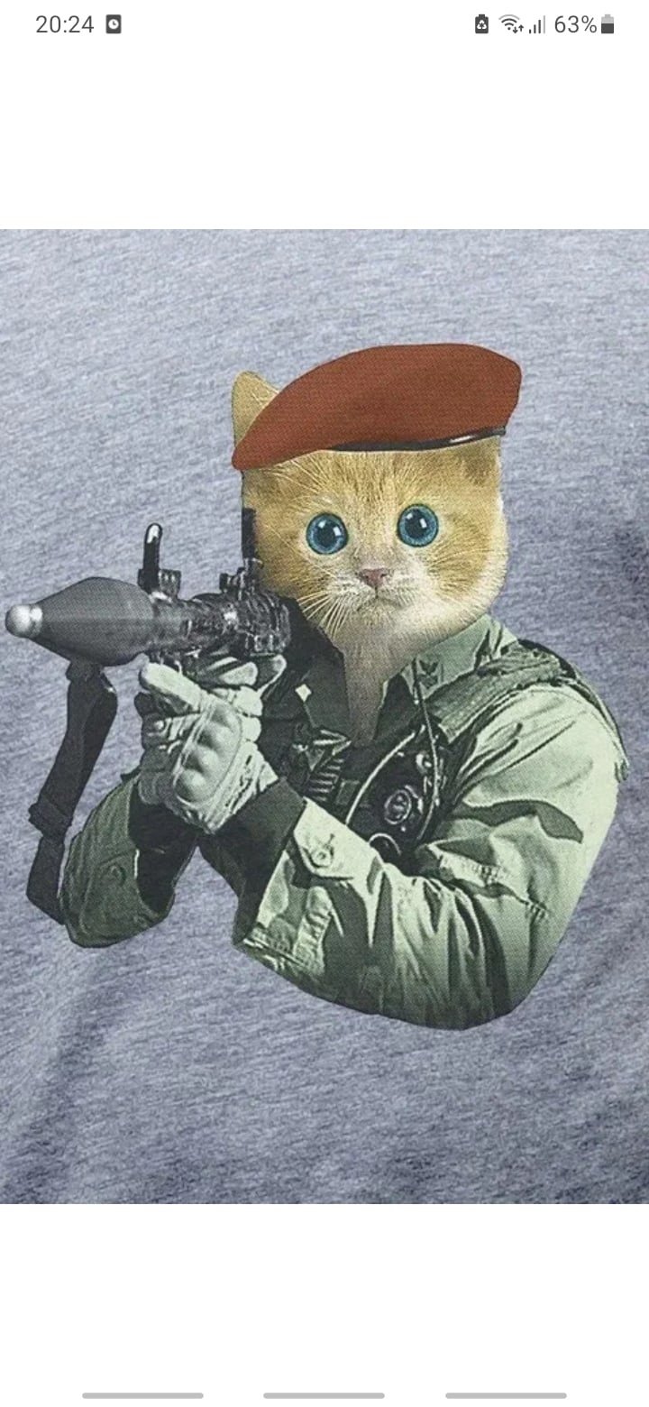 Котенок военный