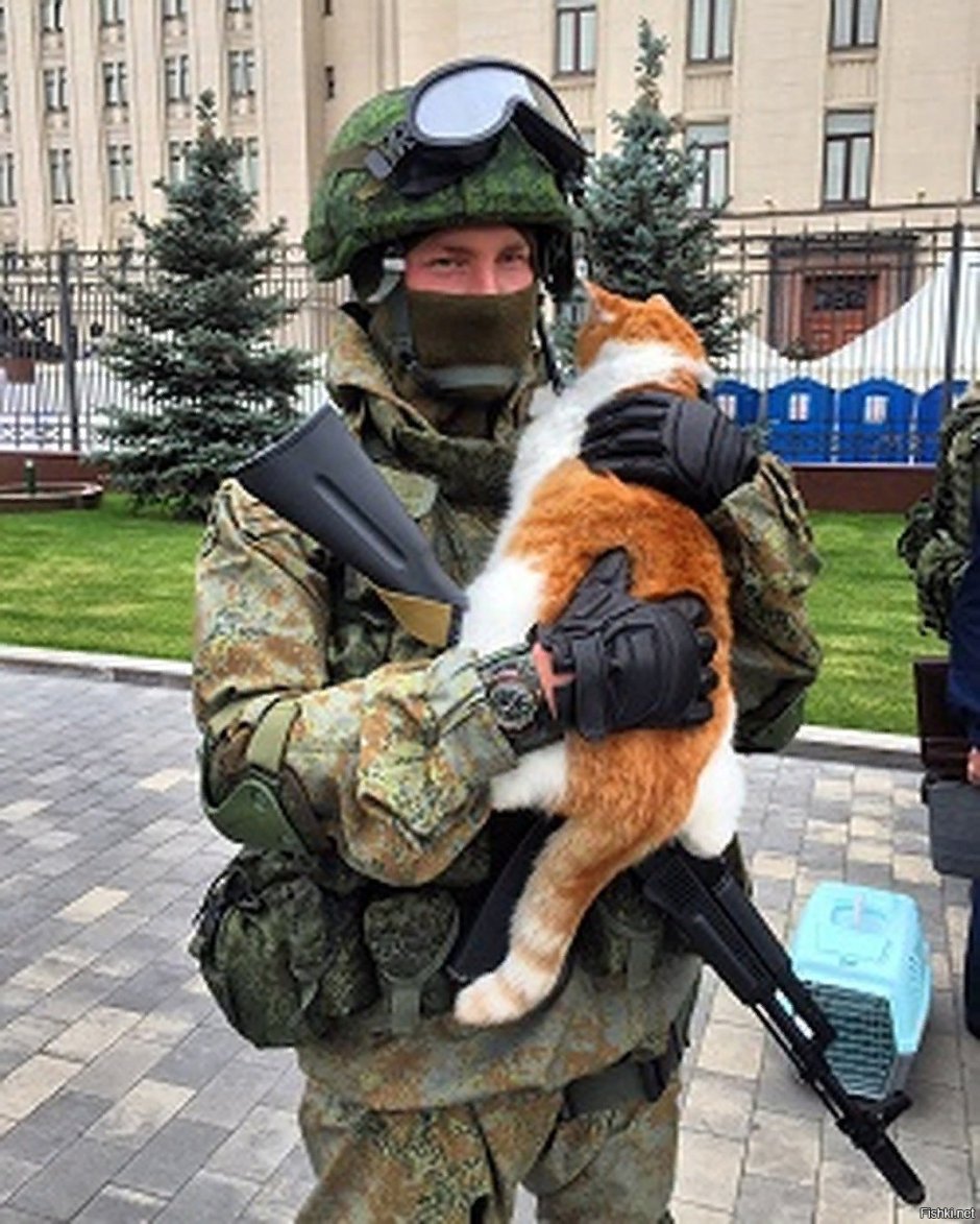 Вежливый кот Мем