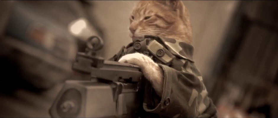 Кот с автоматом