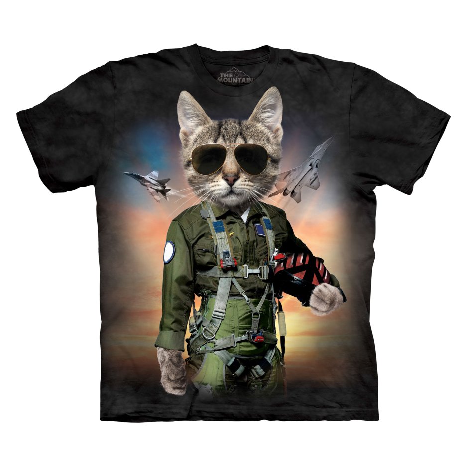 Футболка кот