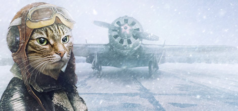 Кот пилот арт