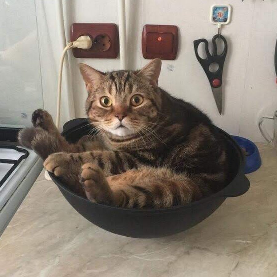 Смешные сковородки