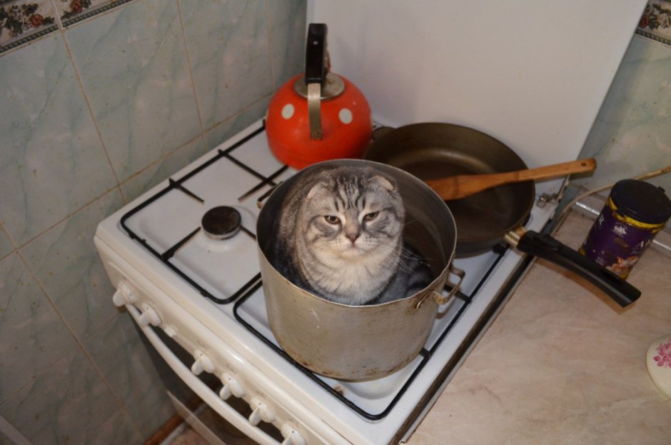 Кастрюля юмор