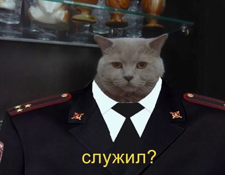 Кот милиционер