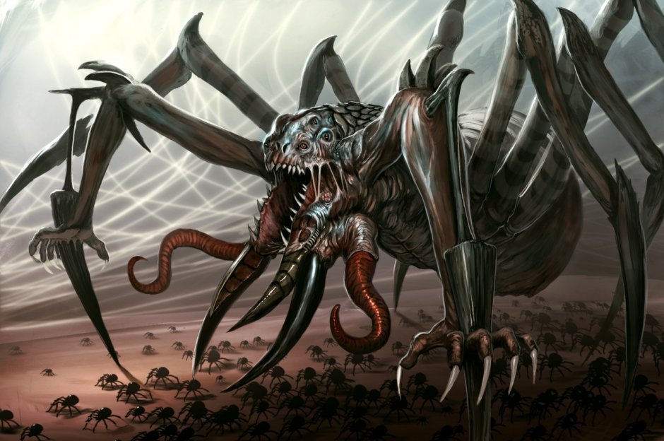 Ice Spiders 2007