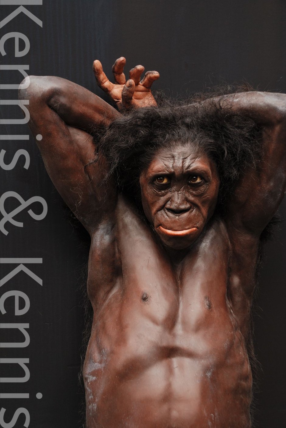 Человек умелый homo habilis
