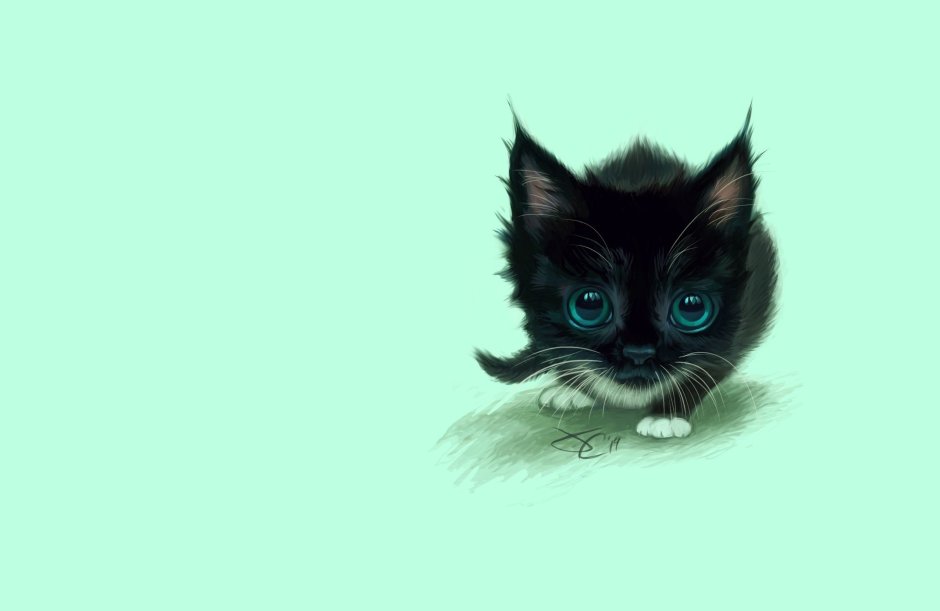 Котенок на однотонном фоне