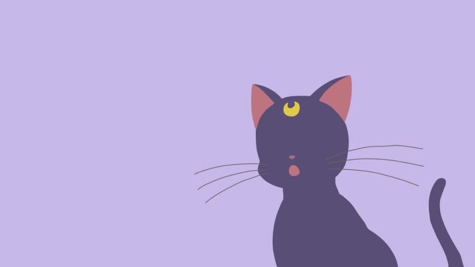 Кошка Минимализм