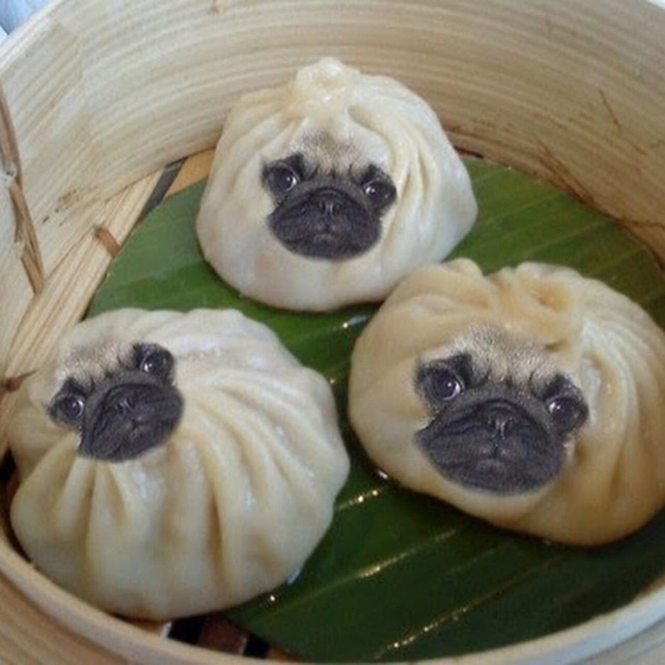 Кавказская овчарка и чау чау