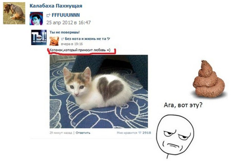 Коты мемные без надписец