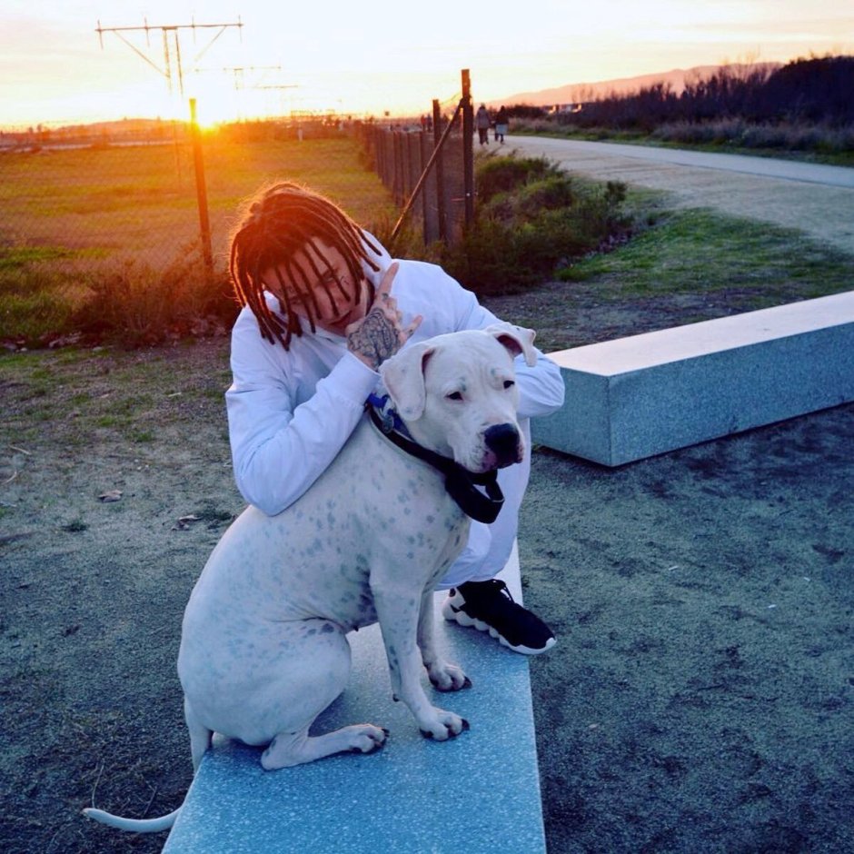 Кизару Олег Нечипоренко