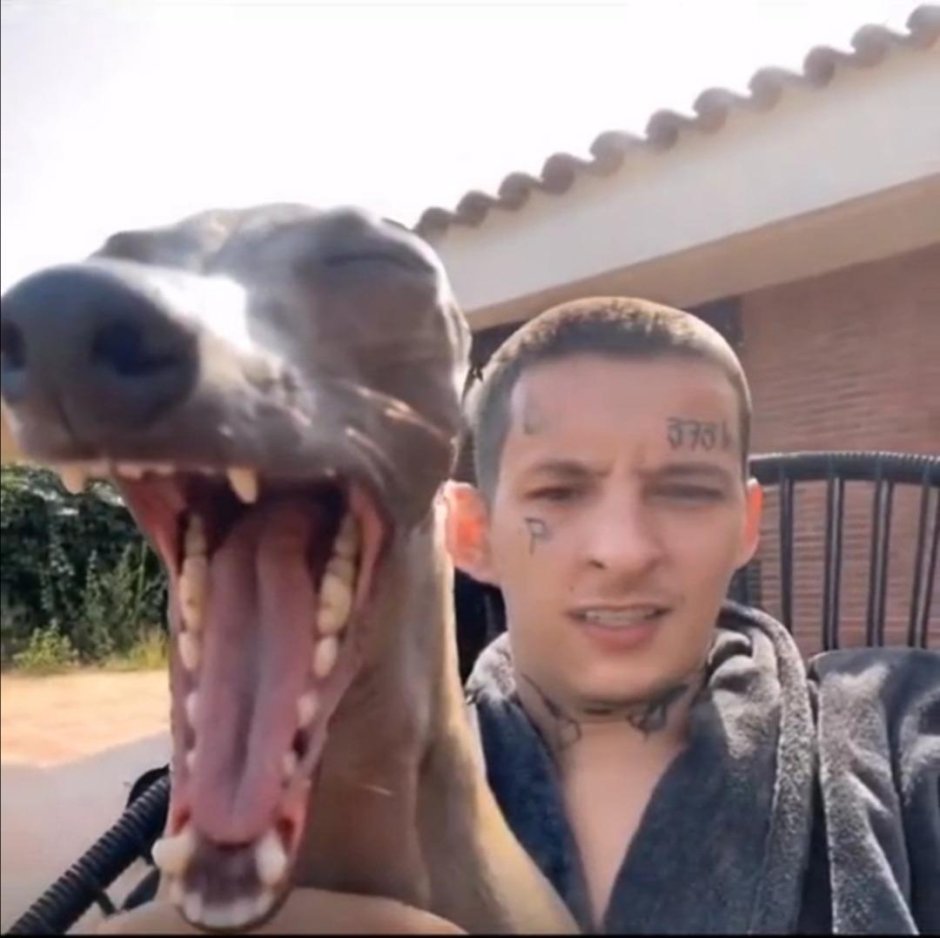 KIZARU С собакой