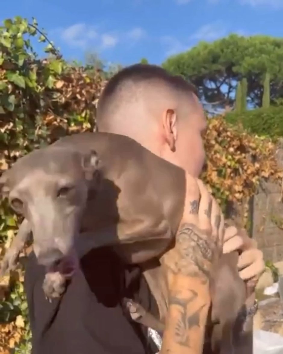 Собака кизару