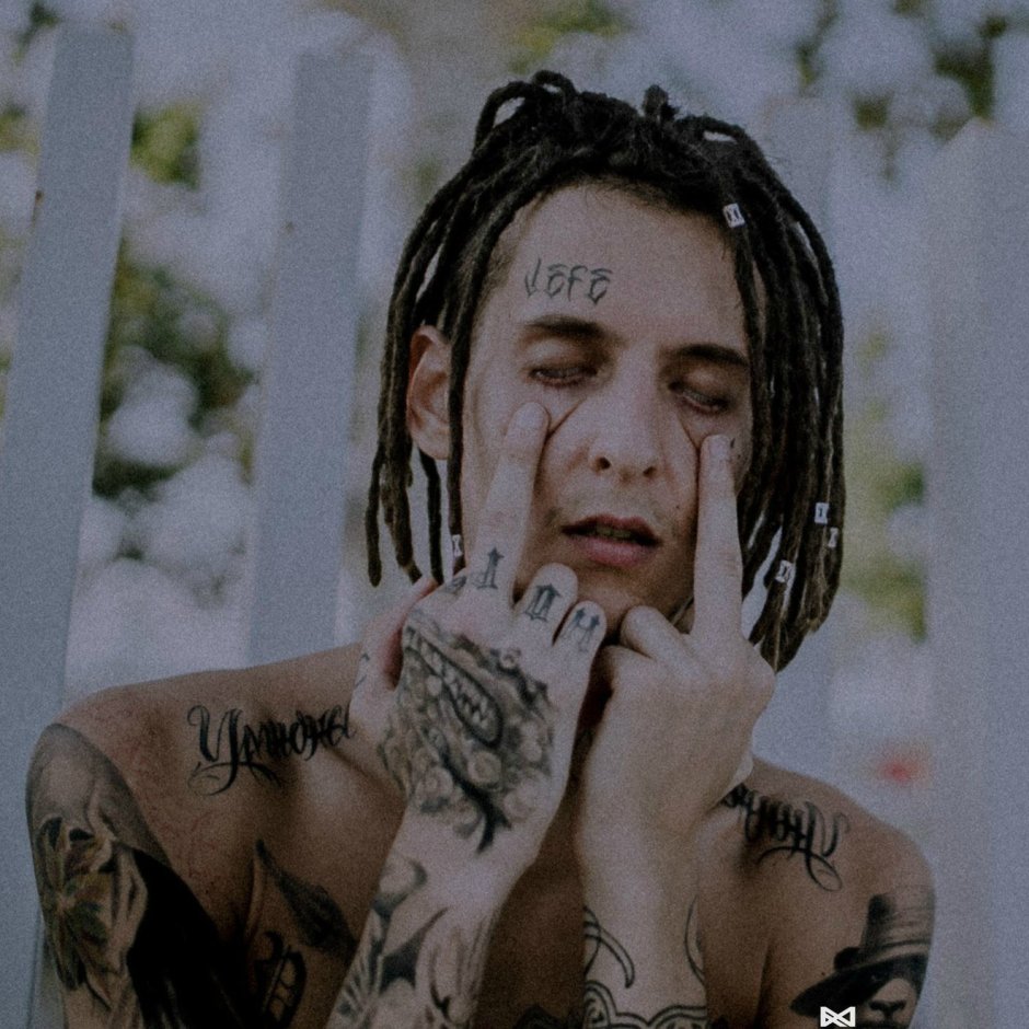 Кизару собака